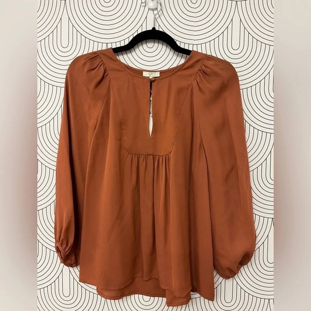 Joie Silk Blouse Burnt Terracotta V-Neck Blouse XS NWT - Picture 6 of 8